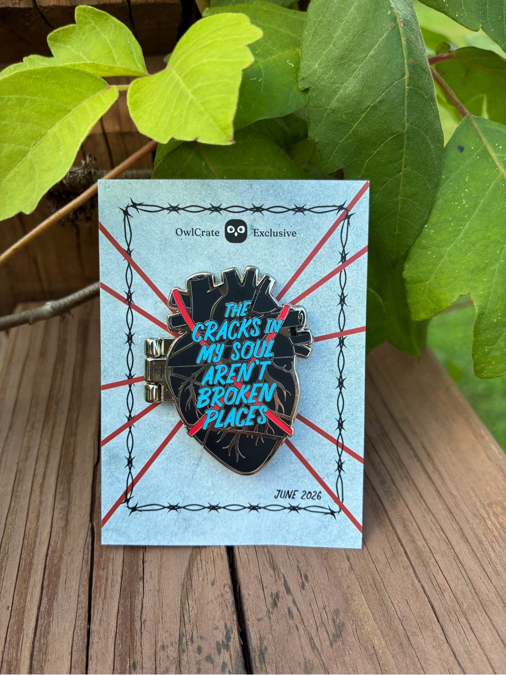 Owlcrate June 2026 Book The Heart Enamel Pin inspired by Daggermouth by HM Wolfe
